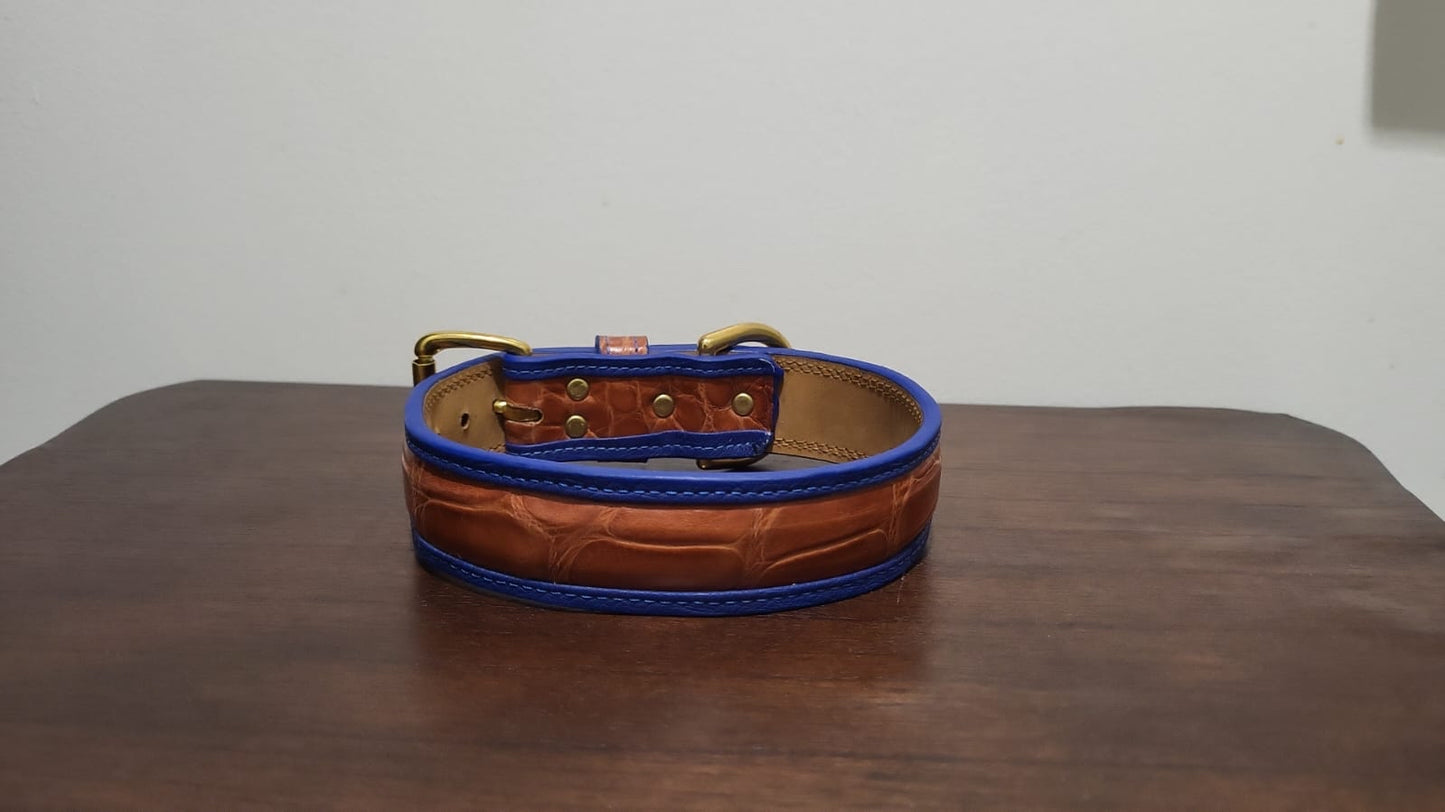 PRINCE ALLIGATOR DOG COLLAR