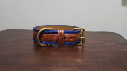 PRINCE ALLIGATOR DOG COLLAR